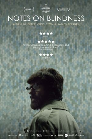 Notes on Blindness's poster