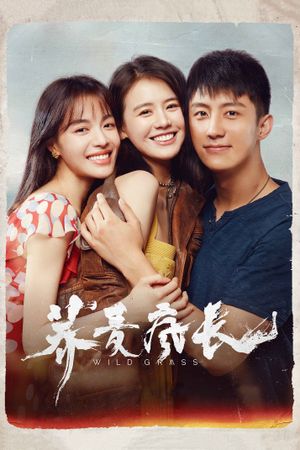 Wild Grass's poster