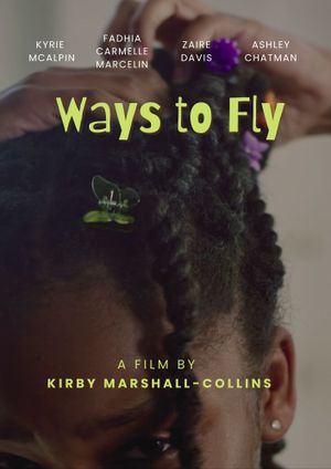 Ways to Fly's poster