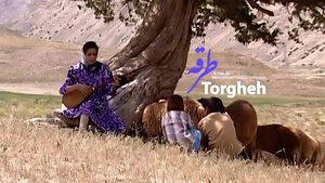 Torgheh's poster