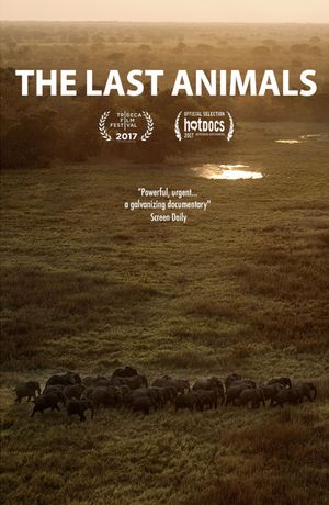 The Last Animals's poster