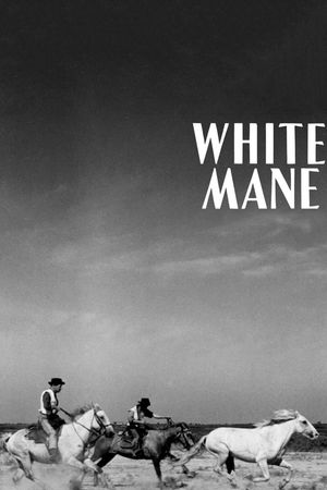 White Mane's poster