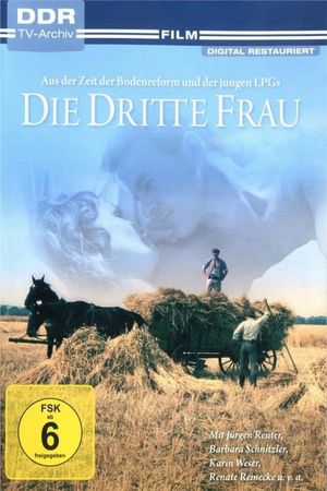 Die dritte Frau's poster