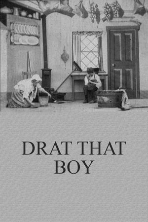 Drat That Boy's poster image