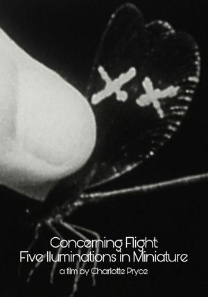 Concerning Flight: Five Illuminations In Miniature's poster