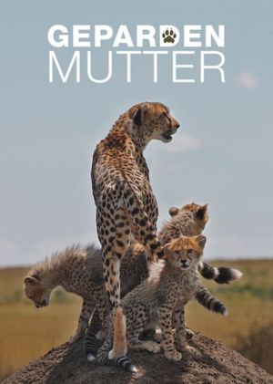 Cheetah Mom's poster