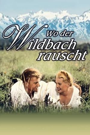 Wo der Wildbach rauscht's poster