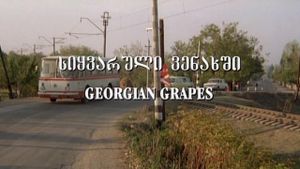 Georgian Grapes's poster