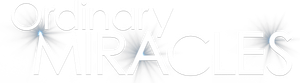 Ordinary Miracles's poster