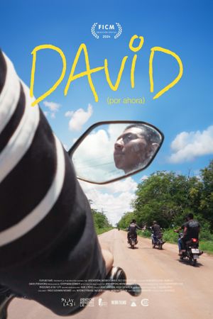 David (For Now)'s poster