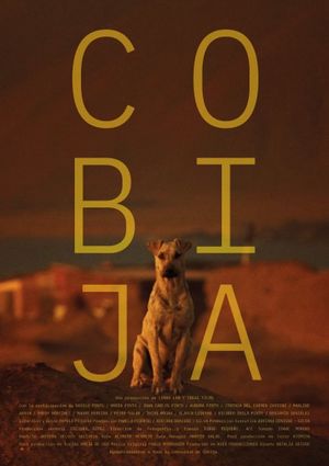 Cobija's poster