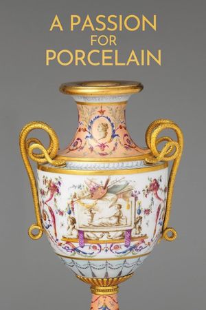 Beautiful Thing: A Passion for Porcelain's poster image