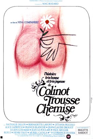 The Edifying and Joyous Story of Colinot's poster