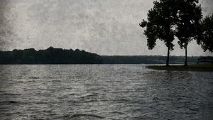 The Lake's poster