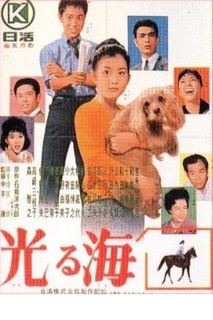 Hikaru umi's poster
