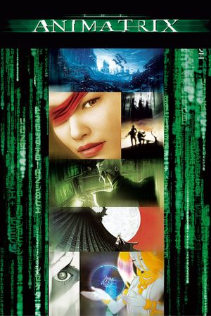 The Animatrix's poster
