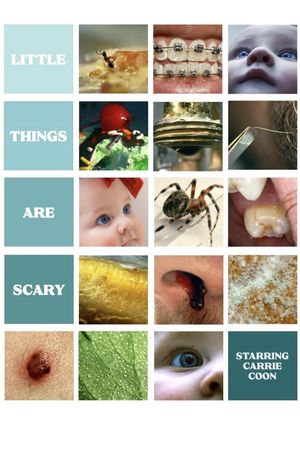 Little Things Are Scary's poster