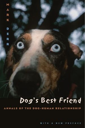 Dog's Best Friend's poster