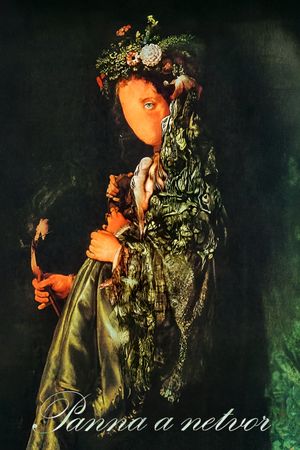 Beauty and the Beast's poster