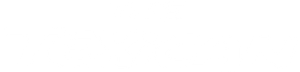 The Texican's poster