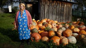 The Babushkas of Chernobyl's poster