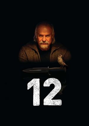 12's poster