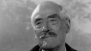 Wild Strawberries's poster
