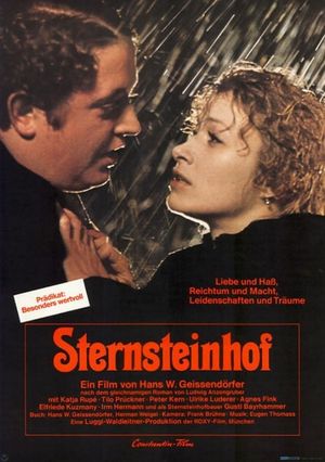 The Sternstein Manor's poster