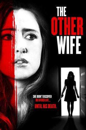 The Other Wife's poster