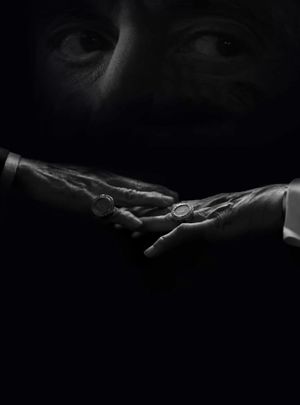 The Irishman's poster