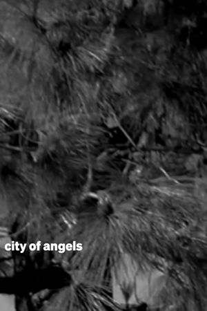 city of angels's poster