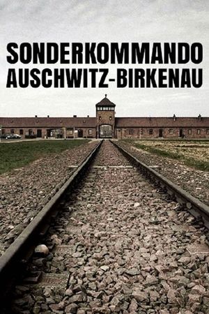 Sonderkommando Auschwitz-Birkenau's poster