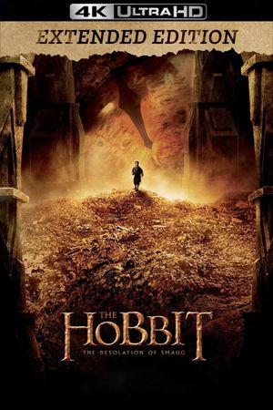 The Hobbit: The Desolation of Smaug's poster