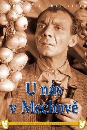 U nás v Mechové's poster