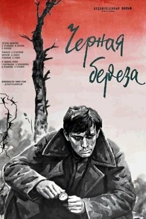 Black Birch's poster