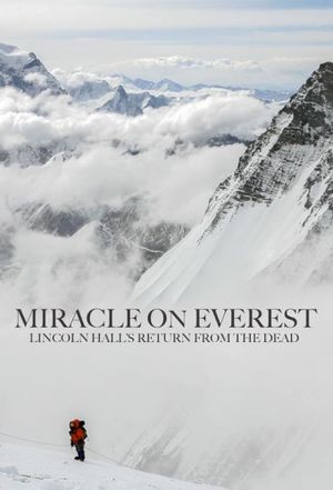 Miracle on Everest's poster