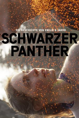 Black Panther's poster