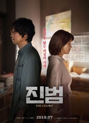 The Culprit's poster