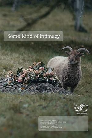 Some Kind of Intimacy's poster