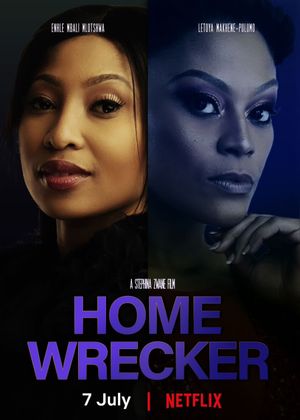 Home Wrecker's poster