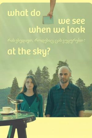 What Do We See When We Look at the Sky?'s poster