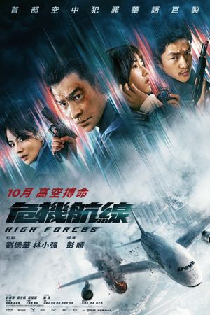 High Forces's poster