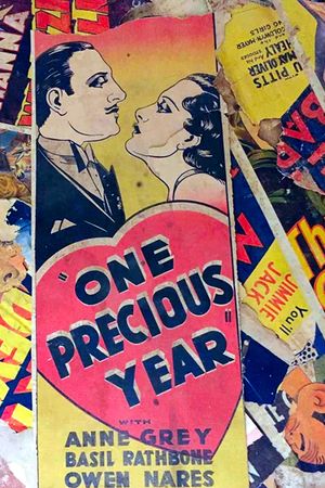 One Precious Year's poster