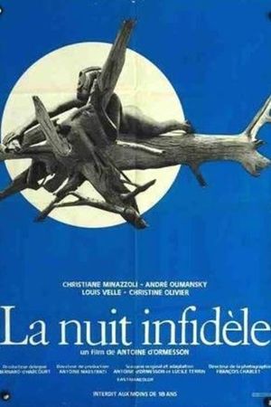 La nuit infidèle's poster