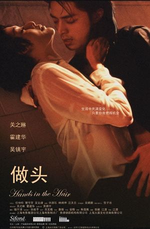 Hands in the Hair's poster