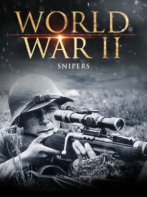 World War II: Snipers's poster