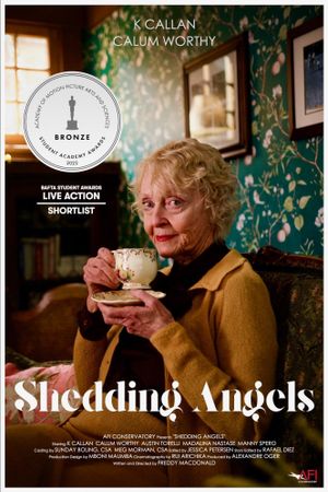 Shedding Angels's poster