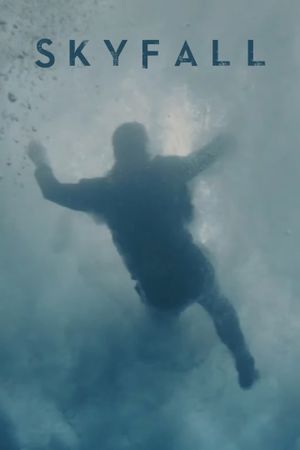 Skyfall's poster