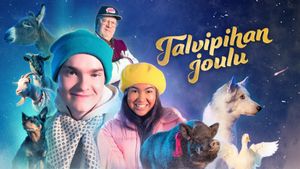 Joulukalenteri: Talvipihan joulu's poster