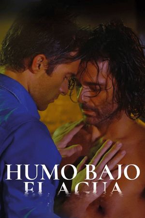 Humo bajo el agua's poster
